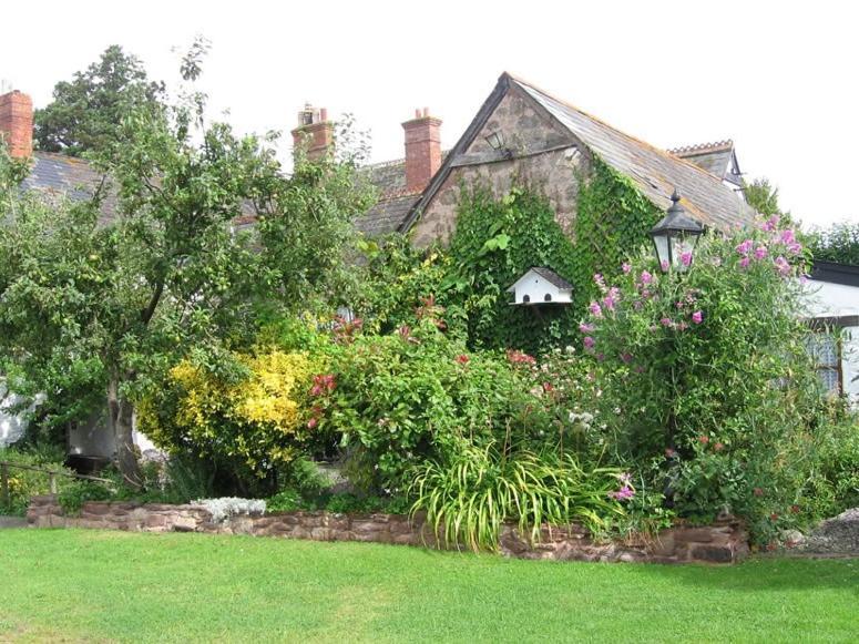 Steps Farmhouse B&B Minehead Esterno foto