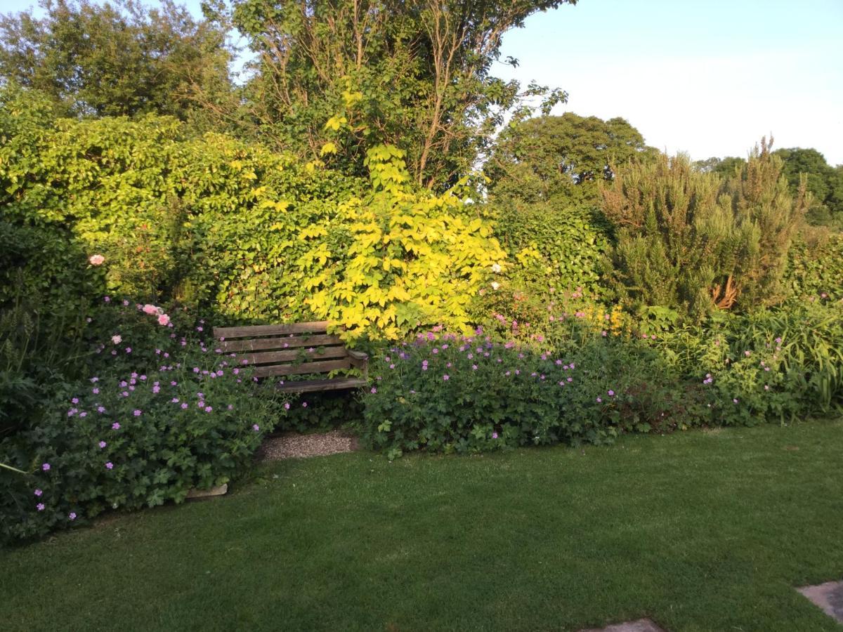 Steps Farmhouse B&B Minehead Esterno foto