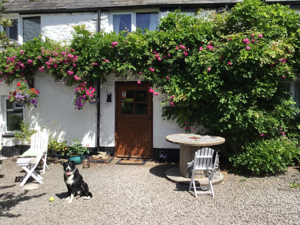 Steps Farmhouse B&B Minehead Esterno foto