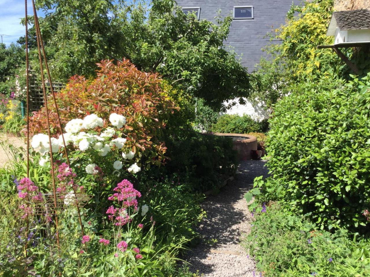 Steps Farmhouse B&B Minehead Esterno foto