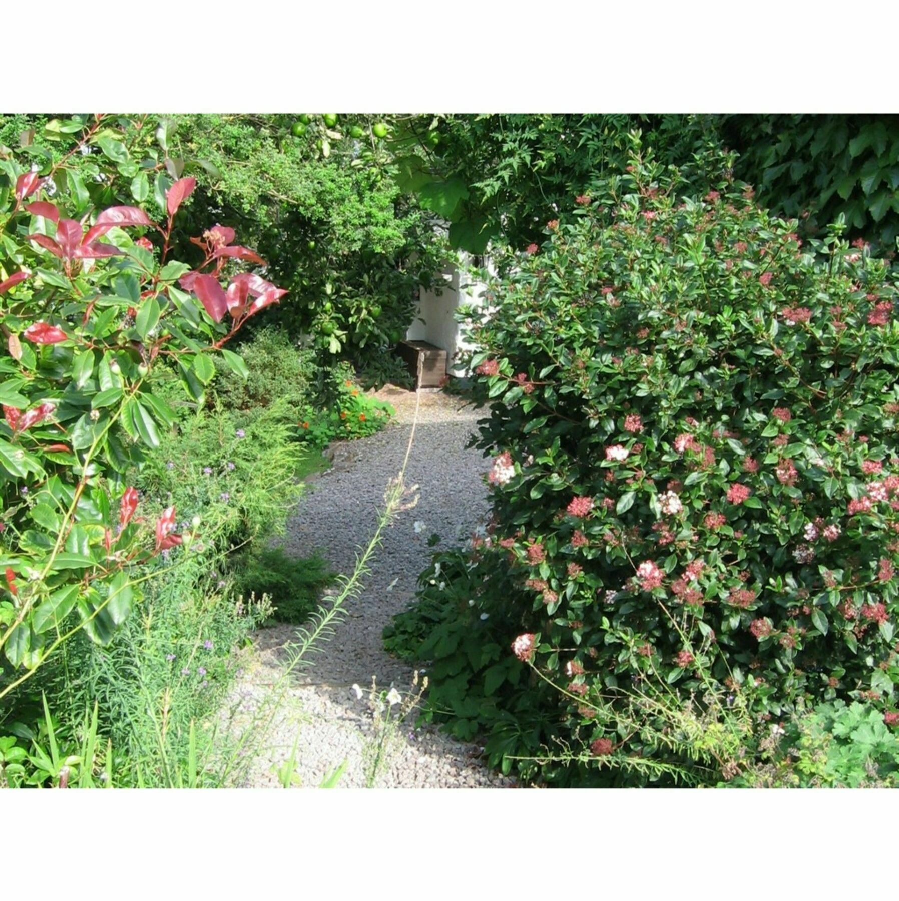 Steps Farmhouse B&B Minehead Esterno foto