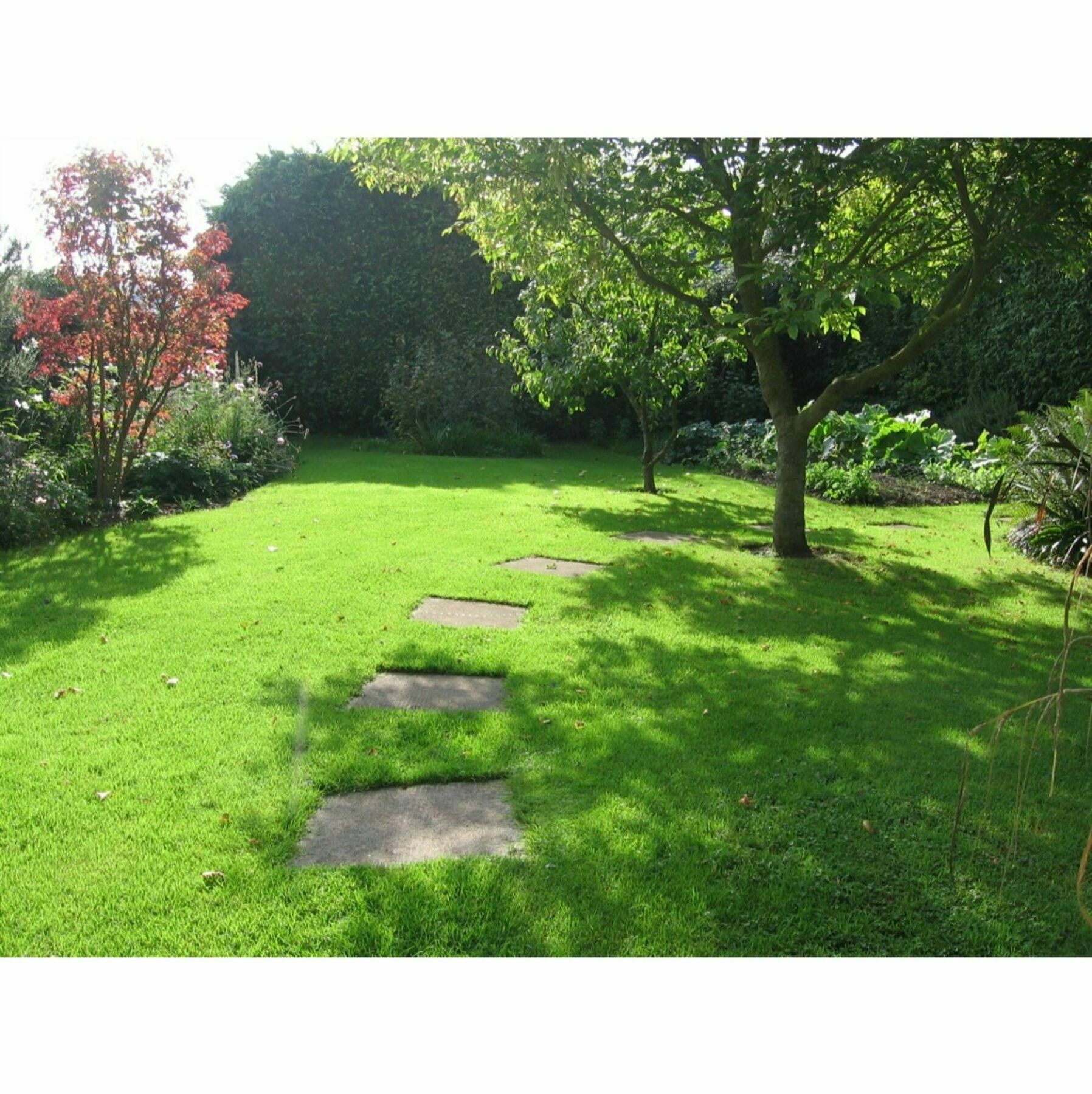 Steps Farmhouse B&B Minehead Esterno foto